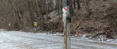 Dolina Grzybowska, parking