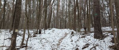 Szczyglice, rozejście szlaku do Skały Kmity