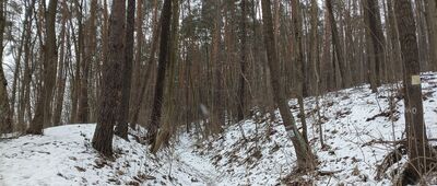 Szczyglice, rozejście szlaku do Skały Kmity