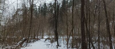 Szczyglice, rozejście szlaku do Skały Kmity