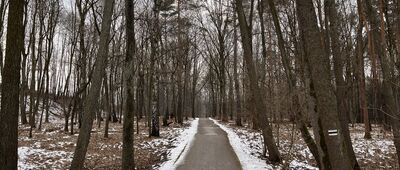 Lotnisko Muchowiec ↔ Staw Grążelowy