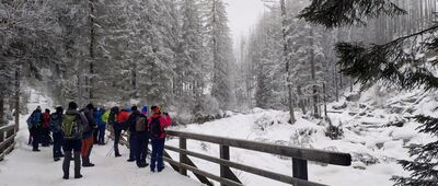 Brzeziny ↔ Sucha Woda