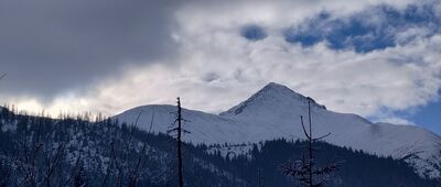 Psia Trawka ↔ Murowaniec, odejście szlaku czarnego