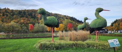 Muszyna, ul. Jana Pawła II ↔ Borysów, granica