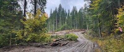 Huzary ↔ Mochnaczka Niżna