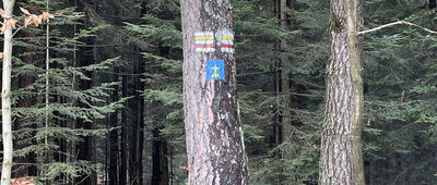 Działek, początek szlaku żółtego