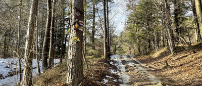 Pod Śliwnikiem ↔ Działek, początek szlaku żółtego
