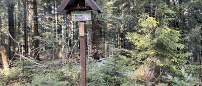 Pod Śliwnikiem ↔ Pod Śliwnikiem