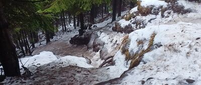 Waligóra ↔ Pod Waligórą