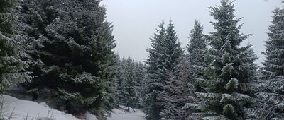 Červenohorské sedlo, odchod Švýcárna ↔ Skalní tabule