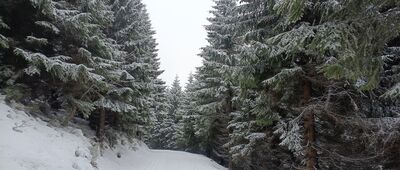 Červenohorské sedlo, odchod Švýcárna ↔ Skalní tabule
