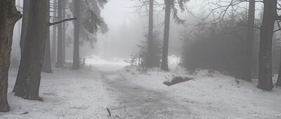 Przełęcz pod Szpiczakiem