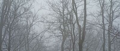 Pod Rogowcem ↔ Skalna Brama