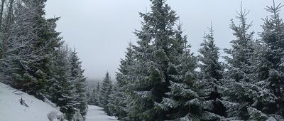 Skalní tabule ↔ U Výrovky