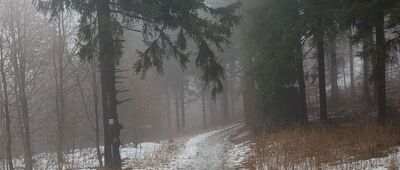 Przełęcz pod Turzyną