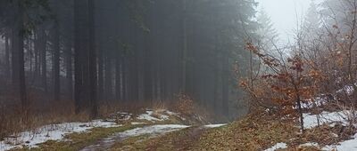 Przełęcz pod Turzyną