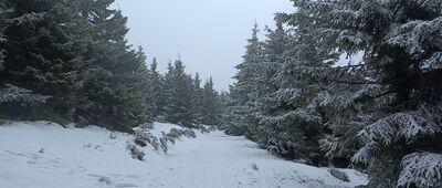 U Výrovky ↔ Kamzík