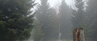 Rozstaje pod Mladą Horą