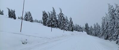 Švýcárna ↔ Praděd, rozc.