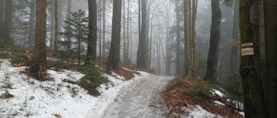 Przełęcz Na Przykrej ↔ Rozstaje pod Mladą Horą