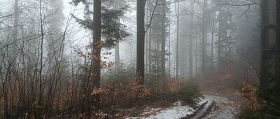 Przełęcz Na Przykrej