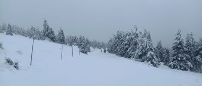 Praděd, rozc. ↔ Pod Pradědem