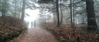 Przełęcz Zakocierska ↔ Przełęcz Na Przykrej