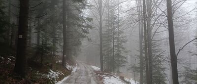 Przełęcz Zakocierska ↔ Kocierz, Słonków