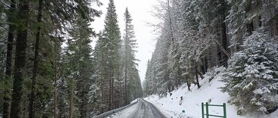 Ovčárna, chata bus ↔ Sutě