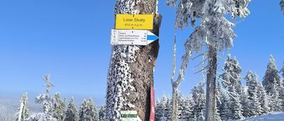 Rozejście szlaków ↔ Lisie Skały [Lisie Skały]