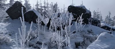 Lisie Skały [Lisie Skały]