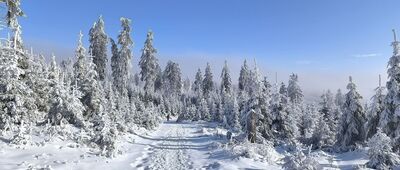 Lisie Skały ↔ Rozdroże pod Kozią Równią