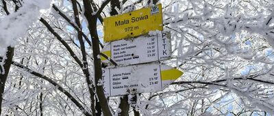 Mała Sowa [Mała Sowa]