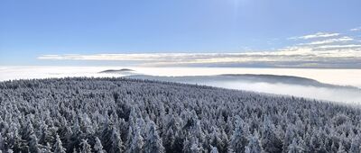 Wielka Sowa [Wielka Sowa]