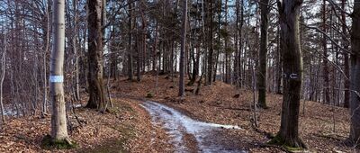 Skrzyżowanie pod Makowską Górą