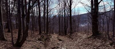 Skrzyżowanie pod Makowską Górą