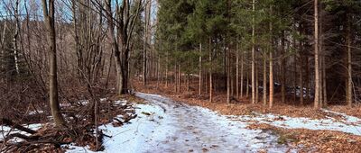 Skrzyżowanie pod Makowską Górą
