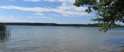 Pomnik przyrody Zakochana Para ↔ Krutyński Piecek, dojazd pożarowy 28 [Jezioro Mokre]