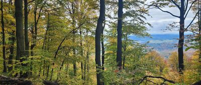 Przełęcz Beskid ↔ Lackowa