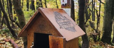 Lackowa [LACKOWA 997m n.p.m]