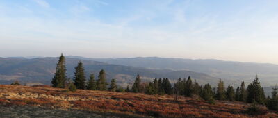 Pod Ćwilinem ↔ Ćwilin [Ćwilin - widok w kierunku Tatr]