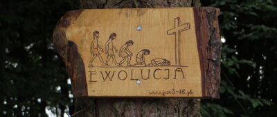 Czatachowa, kościół [W okolicy Pustelni Świętego Ducha w Czatachowie]