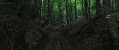 Grodzisko ↔ Skrzyżowanie pod Słoneczną [Wąwóz w okolicy Pieskowej Skały]