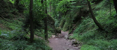 Pod Chełmową ↔ Brama Krakowska [Wąwóz Ciasne Skałki]