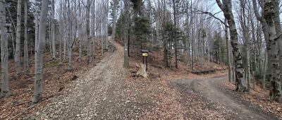 Przełęcz Bukowska ↔ Złota Górka [Krótkie, lecz strome zejście/wejście na Złotą Górkę.]