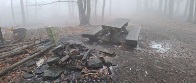 Jaworzyna [Szczyt Jaworzyny - Korona Beskidu Małego]