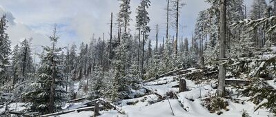 Gorc Troszacki ↔ Skrzyżowanie pod Stawieńcem
