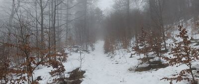 Rozejście szlaków nad Nasicznem ↔ Dwernik Kamień, rozejście szlaków