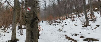 Rozejście szlaków nad Nasicznem ↔ Dwernik Kamień, rozejście szlaków