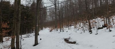 Rozejście szlaków nad Nasicznem ↔ Dwernik Kamień, rozejście szlaków